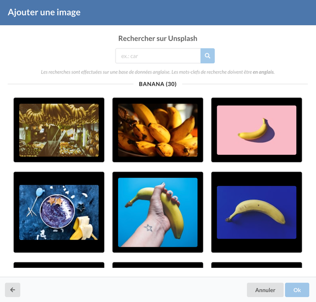 Ricerca di immagini tramite Unsplash.